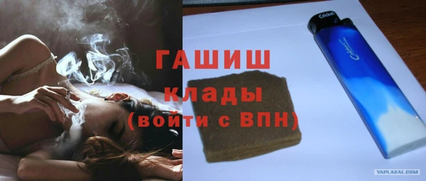 гидра Гусев