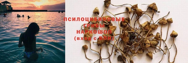 каннабис Горно-Алтайск